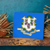 Vlaggenplak van de Connecticut-staat Fotoplaat (Zijkant)