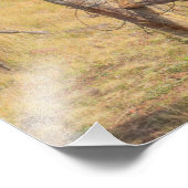 Vlaggenweide Foto Afdruk (Hoek)