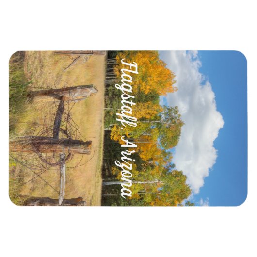 Vlaggenweide Magneet (Horizontaal)