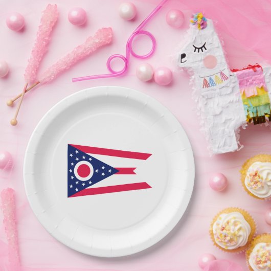 Vlagontwerp Ohio State Papieren Bordje (Feest)