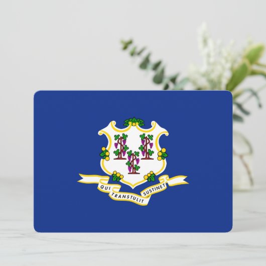 Vlagontwerp verbindingsstaat (Staand voorkant)