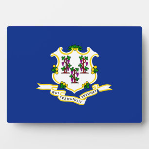 Vlagontwerp verbindingsstaat fotoplaat