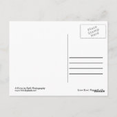 Vlagpersoneel Arizona in het Briefkaart van de Her (Achterkant)