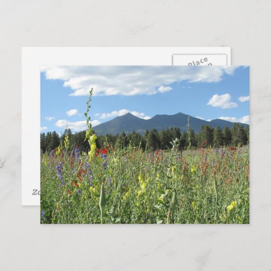 Vlagpersoneel, AZ Briefkaart (Voorkant / Achterkant)