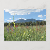 Vlagpersoneel, AZ Briefkaart (Voorkant)