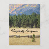 Vlagpersoneel, kleurrijk veld Arizona Briefkaart (Voorkant)