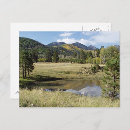 Vlagpersoneel — Meadow Briefkaart (Voorkant / Achterkant)