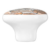 Vlagsteen | Natuursteenpatroon | briketten Keramische Knop (Zijkant)