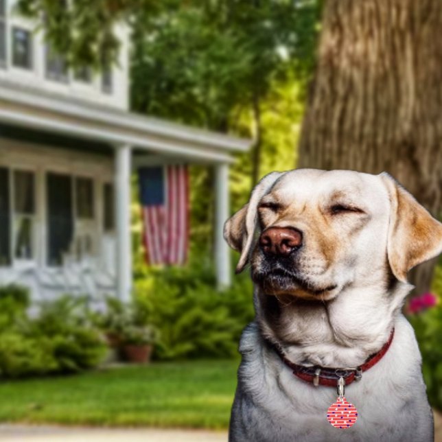 Vlagsterren Huisdierpenning (Get Fido in on the patriotic fun, with his or her own Flag Stripes Pet ID Tag!)