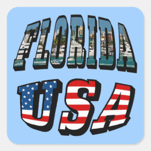 Vlagtekst van Florida-staat en VS Vierkante Sticker
