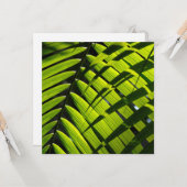 Vlak Wenskaart met groene palmbladeren Kaart (Voorkant / Achterkant in situ)