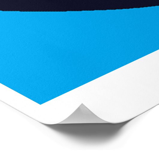 vlakke aarde met koepelPoster Poster (Hoek)