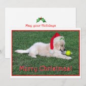 Vlakke de Kerstkaart van het Puppy van het golden (Voorkant / Achterkant)