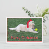 Vlakke de Kerstkaart van het Puppy van het golden (Staand voorkant)