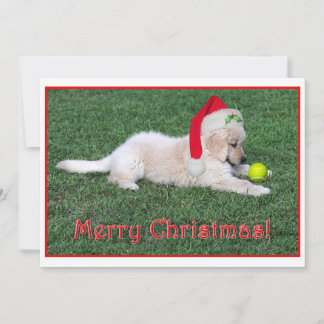 Vlakke de Kerstkaart van het Puppy van het golden