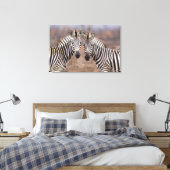 Vlakke zebra's, Kruger Nationaal Park Canvas Afdruk (Insitu (Slaapkamer))