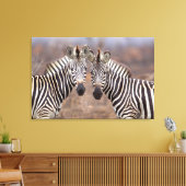 Vlakke zebra's, Kruger Nationaal Park Canvas Afdruk (Insitu (Woonkamer))