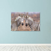 Vlakke zebra's, Kruger Nationaal Park Canvas Afdruk (Insitu (Houten vloer))
