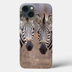 Vlakke zebra's, Kruger Nationaal Park iPhone 13 Hoesje