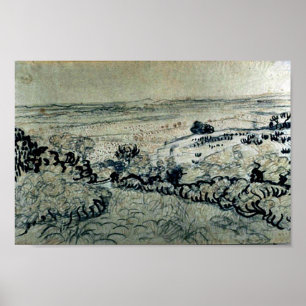 Vlakte van het Fine Art. van La Crau Van Gogh Poster