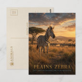 Vlaktezebra Oost-Afrikaanse savanne DIEREN Briefkaart (Voorkant / Achterkant)