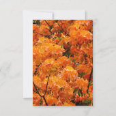Vlam Azalea Bloemen Kaart (Voorkant)