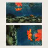 vlam in de Bladwijzer van het water Visitekaartje (Voorkant /achterkant)