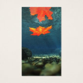 vlam in de Bladwijzer van het water Visitekaartje (Achterkant)