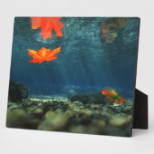 vlam in de vlakte van het water-Afbeelding Fotoplaat (Zijkant)