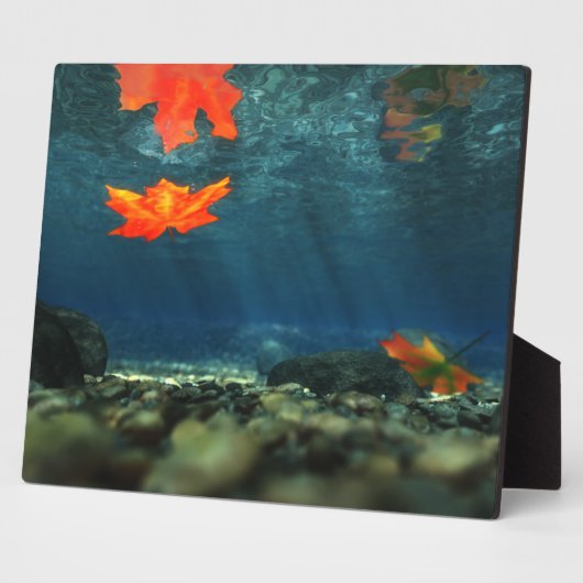 vlam in de vlakte van het water-Afbeelding Fotoplaat (Zijkant)