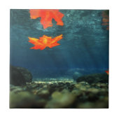 vlam in de waterdecoratieve tegel tegeltje (Voorkant)