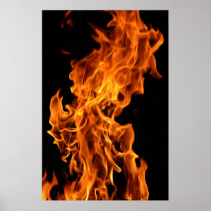 vlam poster