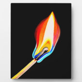 Vlam Symbool van Passie, Energie & Creativiteit Fotoplaat (Voorkant)