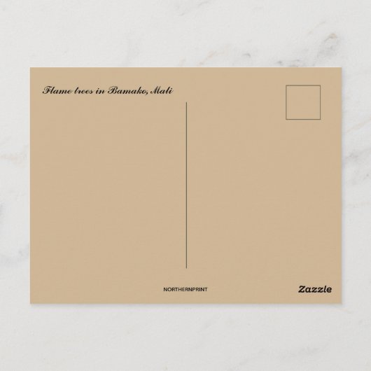 Vlambomen in Bamako Mali Briefkaart (Achterkant)