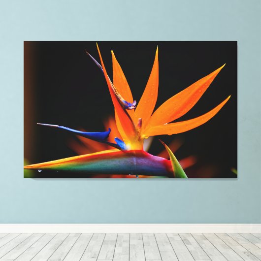 Vlamboyante vogel van de Paradise Vloer Canvas Afdruk (Insitu (Houten vloer))