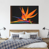 Vlamboyante vogel van de Paradise Vloer Canvas Afdruk (Insitu (Slaapkamer))