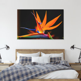 Vlamboyante vogel van de Paradise Vloer Canvas Afdruk