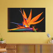 Vlamboyante vogel van de Paradise Vloer Canvas Afdruk (Insitu (Woonkamer))