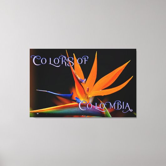 Vlamboyante vogel van de Paradise Vloer Canvas Afdruk (Voorkant)