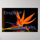 Vlamboyante vogel van de Paradise Vloer Poster (Voorkant)