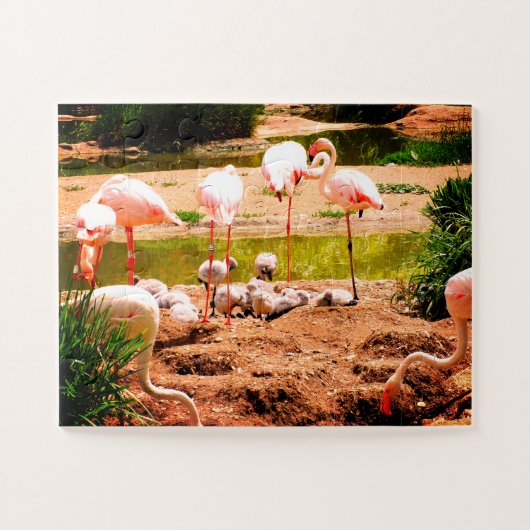 Vlamingkuikens en kippen legpuzzel (Horizontaal)