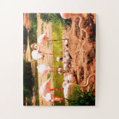 Vlamingkuikens en kippen legpuzzel (Verticaal)