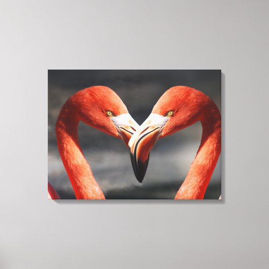 Vlamingoenen in de liefde canvas afdruk (Voorkant)