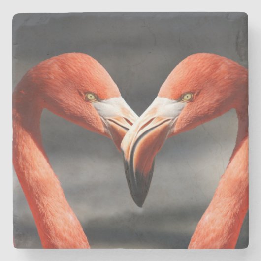 Vlamingoenen in de liefde stenen onderzetter (Voorkant)