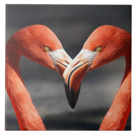 Vlamingoenen in de liefde tegeltje