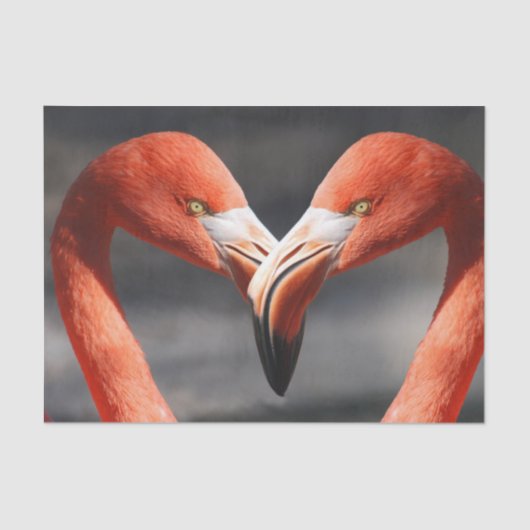 Vlamingoenen in de liefde tissuepapier (Voorkant)