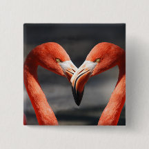 Vlamingoenen in de liefde