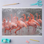 Vlamingoenen in het sneeuwcadeautje tissuepapier (Craft)