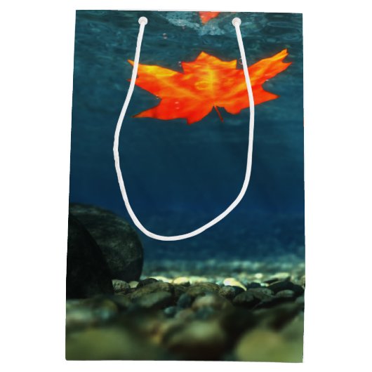 Vlamje in de waterzak medium cadeauzakje (Achterkant)