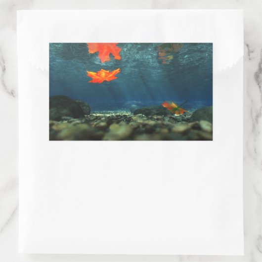 Vlammen in de Stickers (Tas)